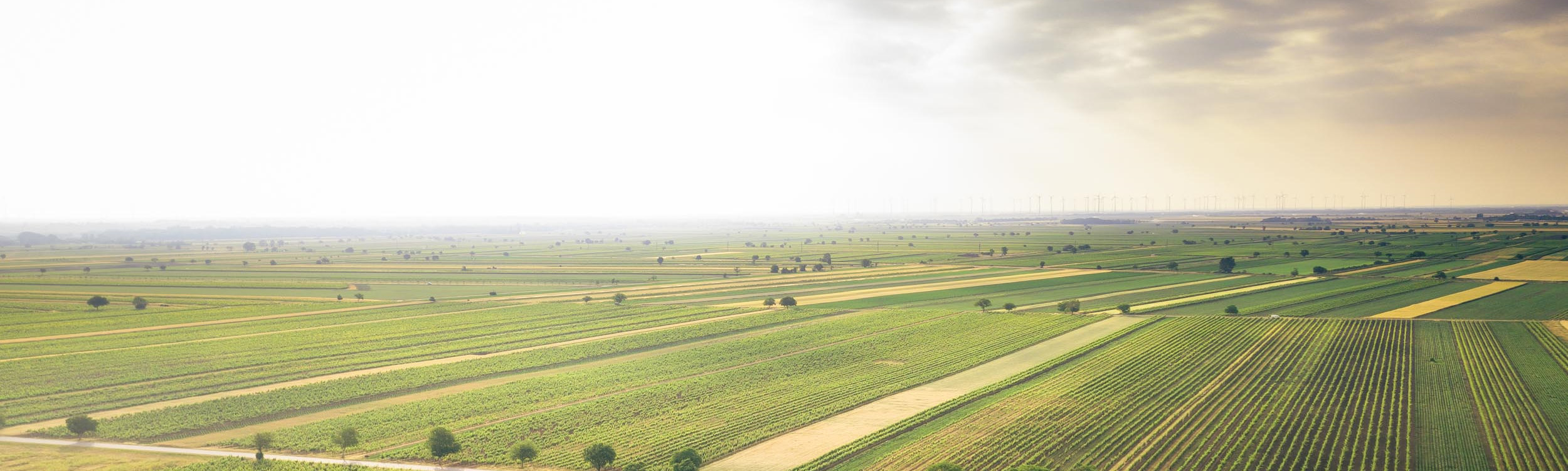 Winzerei_Roman_Leitner_Photo_StudioFasching_DJI_neu